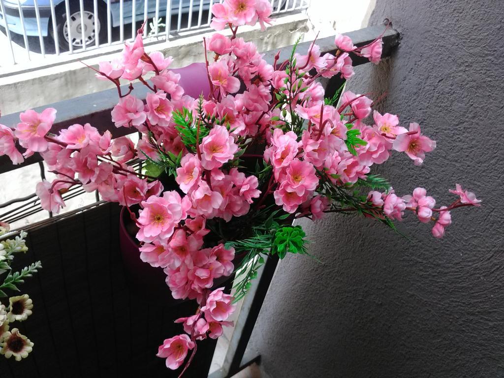 贝尔格莱德Keti 1公寓 外观 照片
